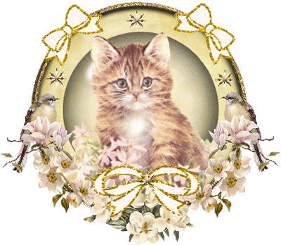 Ein Bild, das Katze, sitzend enthält.
Automatisch generierte Beschreibung